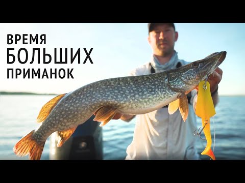 Видео: Чем ловит MaxFishing Team | Действительно БОЛЬШИЕ приманки | Ловля щуки на бигбейты