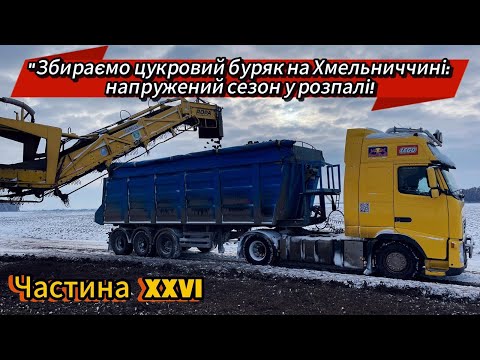Видео: Збираємо цукровий буряк на Хмельниччині:Випав сніг,напружений сезон у розпалі !