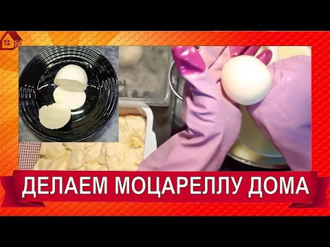 Видео: МОЦАРЕЛЛА салатная без закваски/ Простой рецепт в кастрюле дома всегда получается - Вкуснотища!