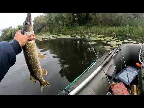 Видео: Ловля щуки на воблери! Рибалка з човна на ставку!