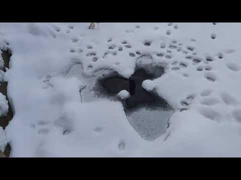 Видео: Пруд зимой. Аэратор vs Антиобледенитель!