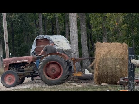 Видео: Поднимет ли маленький MF 35 рулон или сено? Подработка для газонокосилки.