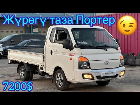 Видео: Жүрөгү таза Портер сатылат 7200$ +821079399496 Корея 2024