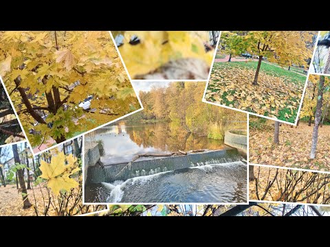 Видео: Мой АСМР от 12-16 октября. 🥰💕