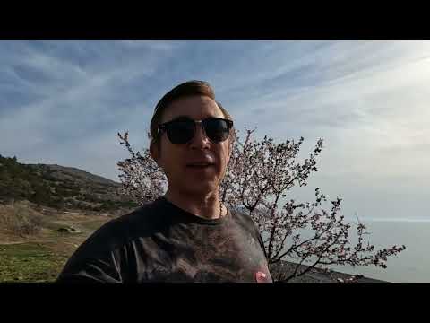 Видео: 106 ч.  Жизнь в караване у моря