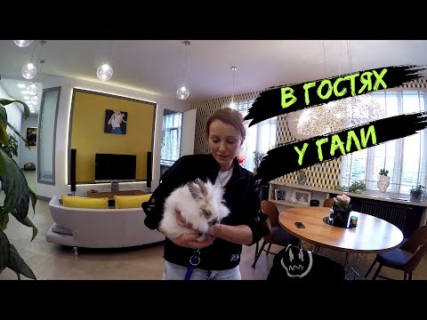 Видео: В гостях у Гали. Рум тур квартиры с видом на Крестовский остров