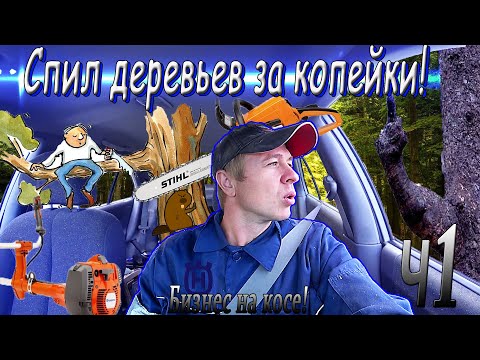 Видео: Бизнес на косе! Выгодно ли пилить деревья? Часть первая штиль, хускварна!