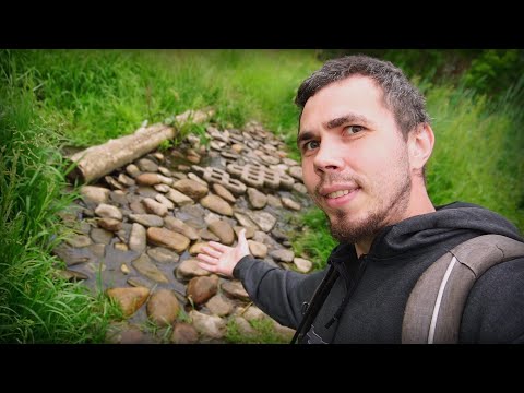 Видео: ASMR прогулка по заливу и в бору