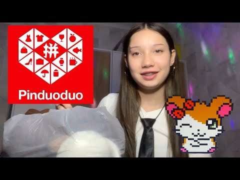 Видео: 13 ноября 2025 г.