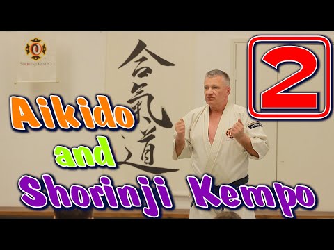 Видео: Совместная тренировка Айкидо и Сёриндзи Кэмпо -2. Сэнсэй Рокицкий А.Д. 5 Дан.