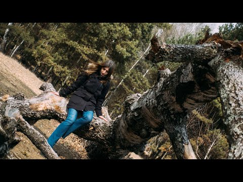 Видео: Такая Вот Весна