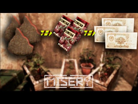 Видео: MISERY - ГАЙД ПО ФАРМУ ДЕНЕГ 💩+🍅+=💵💰 (гайд на огород, грядки)
