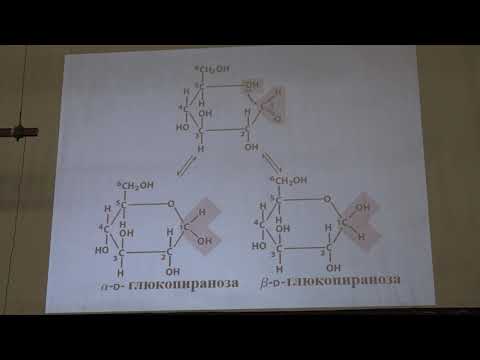 Видео: Асеев В. В. - Основы биохимии - 2. Углеводы