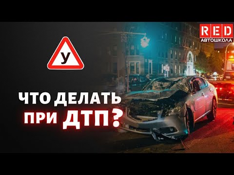 Видео: Порядок действий водителя при ДТП! Смотри и СОХРАНЯЙ