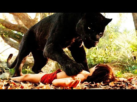 Видео: БАЛАНЫ ЖОЛБАРЫСПЕН ШАЙҚАС АЛДЫНДА АЛЫП ПАНТЕРА ЖАТТЫҚТЫРДЫ / қысқаша кино шолу /