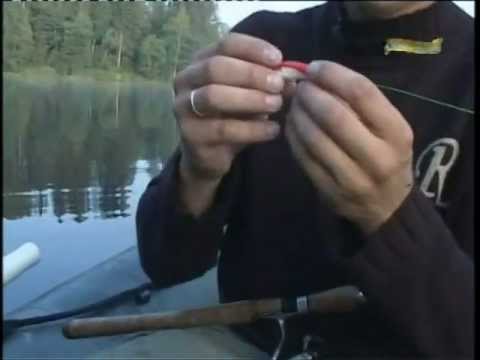 Видео: Клевое место №5 (Шлено и Вельё 2 часть)