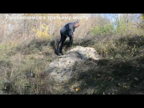 Видео: Битюг, который мы потеряли