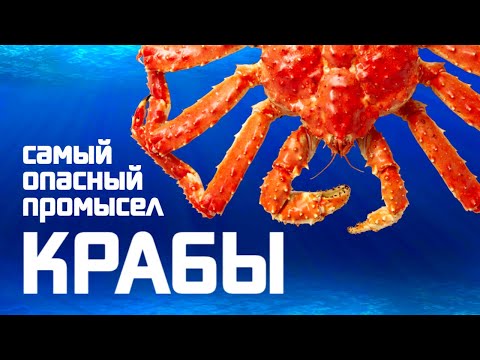 Видео: Крабы. Самый опасный промысел