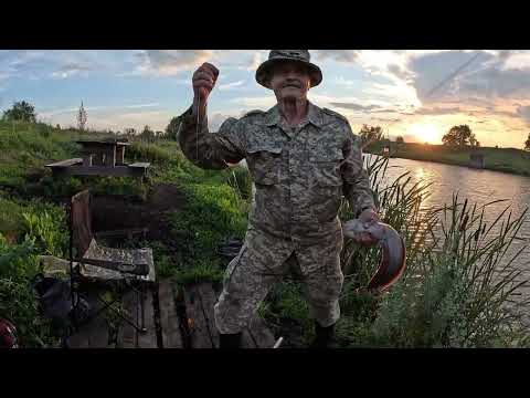 Видео: Рыбалка на пруду Дальний Раг (коммерческий водоем)