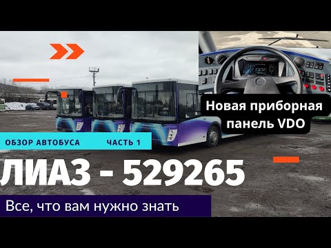 Видео: Обзор Лиаз 5292