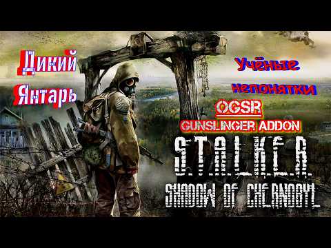 Видео: S.T.A.L.K.E.R.: Shadow of Chernobyl - 13: Дикий Янтарь: Учёные непонятки...