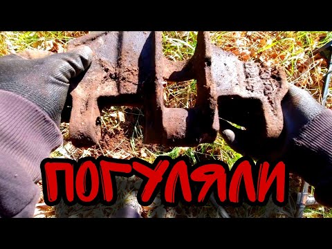 Видео: ПОЕХАЛИ ЗА ГРИБАМИ НАКОПАЛИ МЕТАЛЛ