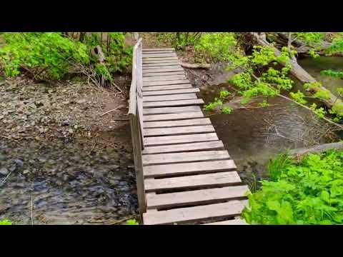 Видео: Мой Влог: весна, жизнь, природная красота🌿