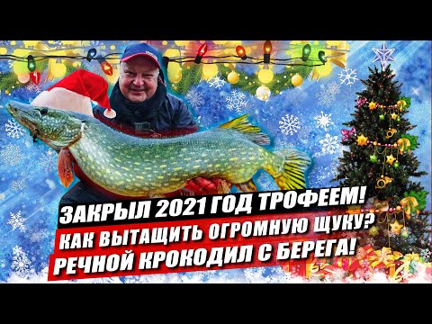Видео: Трофейная щука под Новый год! Закрыл 2021 настоящим речным крокодилом на спиннинг с берега
