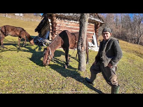 Видео: Трудная жизнь в горной деревне: Продолжение истории одинокого трудяги Василия