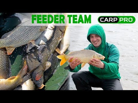 Видео: Секреты рыбалки на карпа! Флэт фидер против штекера! Мастер класс от Carp Pro!