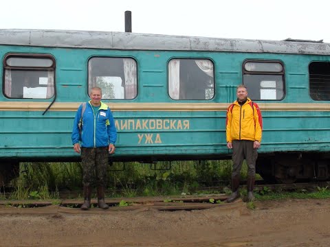 Видео: Липаковская УЖД-2020