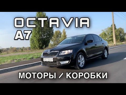 Видео: Обзор Skoda Octavia A7 - Как выбрать?