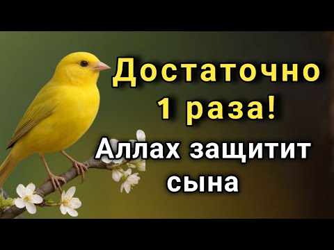 Видео: ☝️ ЭТО САМАЯ СИЛЬНАЯ МОЛИТВА ЗА СЫНА!СПАСЁТ ОТ БЕДЫ ЗЛЫХ ЛЮДЕЙ ПОРЧИ СГЛАЗА СИЛЬНЫЙ ОБЕРЕГ!  ✨🤲