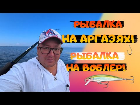 Видео: Ловля судака на озере Аргази. Готовим карпа горячего копчения. fishing. простая рыбалка