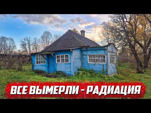 Видео: Выжившие в заброшенной деревне | Курская обл. Щигровский р/н д.Курская Ольховатка