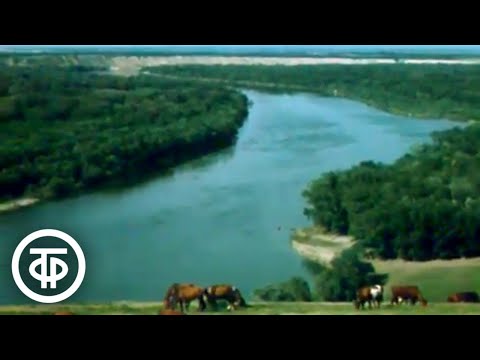 Видео: На верхнем Дону (1985)