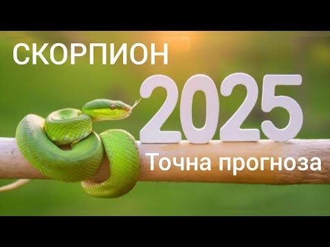 Видео: СКОРПИОН ♏ Годишна таро прогноза хороскоп за 2025 година🍀Важни акценти #хороскоп #скорпион #tarot