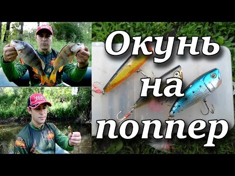 Видео: Окунь на поппер. Теория и практика