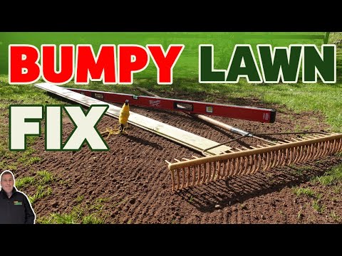 Видео: Как сделать газон ровным и гладким — руководство для начинающих по выравниванию газона