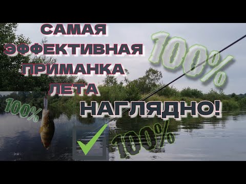 Видео: самая эффективная приманка лета наглядно | ловит всё | яркая |визуальная рыбалка