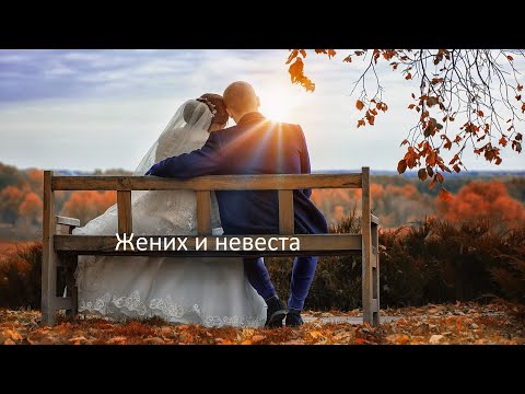 Видео: Жених и невеста