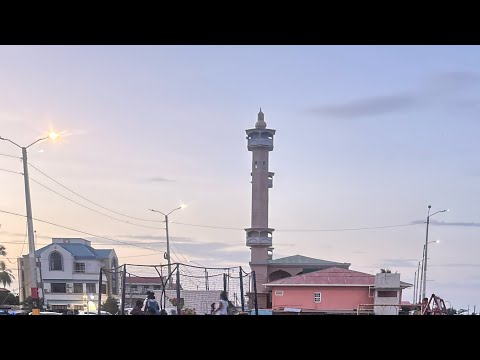 Видео: Мой район в Скелдоне, Гайана