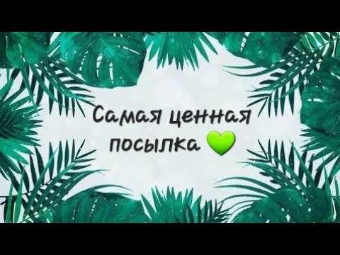 Видео: Распакуем драгоценные материалы?😉