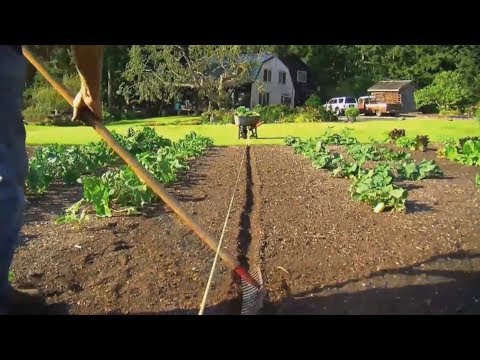 Видео: 02. Завръщане към Едем - филм за органично градинарство /  част втора