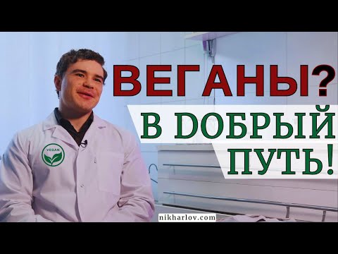 Видео: Как перейти на вегетарианство, перестать есть мясо. Что едят вместо мяса. Международный день вегана.