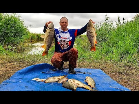 Видео: Хищник на джиг , Сазан на жмых !!!Река Нура в Кургальджино ,может порадовать !!!