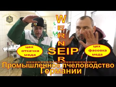 Видео: WERNER SЕIP 🐝 ЦЕХ ПО ОТКАЧКЕ И ФАСОВКЕ МЕДА 🐝 ПРОМЫШЛЕННОЕ ПЧЕЛОВОДСТВО ГЕРМАНИИ - FABRO