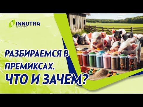 Видео: Разбираемся что такое премиксы и что входит в их состав