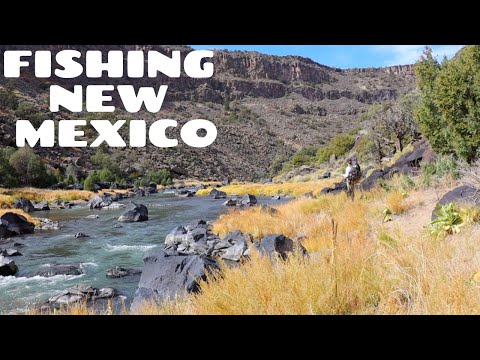 Видео: Великолепная пустынная река, полная трофейной форели | Никто не ожидал такого здесь