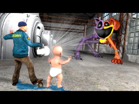 Видео: Әке екеуміз Ит Мысыққа қарсы шықтық!